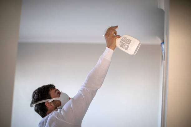 Best DIY Mold Remediation Support Services in Bealeton, VA