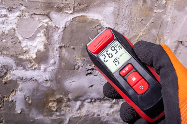 Best Health and Safety Mold Remediation in Bealeton, VA